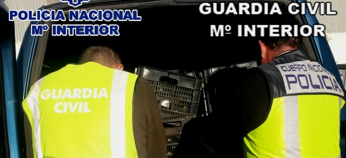 desarticulada-una-red-criminal-que-robaba-productos-hortofruticolas-en-la-costa-de-granada-malaga-y-almeria