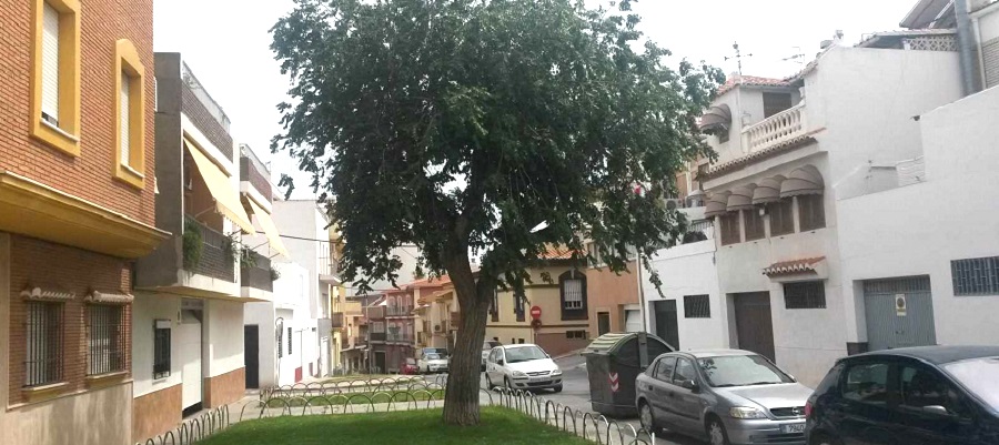 el-ayto-acometera-obras-de-mejora-en-la-rambla-del-carmen-con-cargo-al-pfea