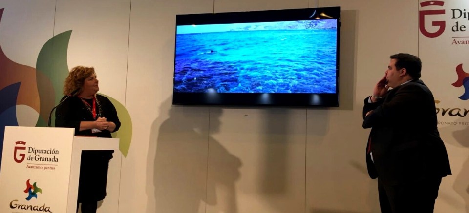 el-festival-jazz-en-la-costa-se-presenta-en-fitur