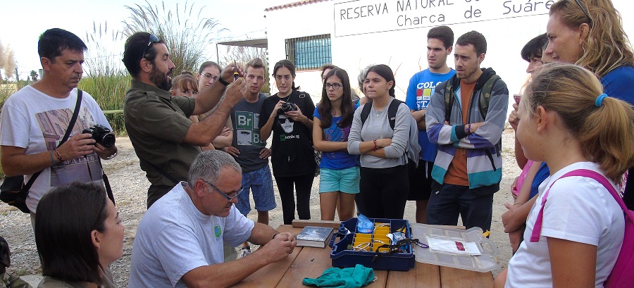 la-charca-de-suarez-presenta-balance-de-anillamiento-de-aves-migratorias-en-2016
