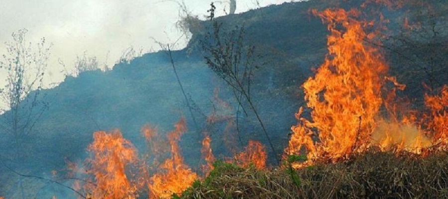 agentes-de-medio-ambiente-difunden-hoy-en-los-institutos-de-salobrena-la-campana-no-te-quemes
