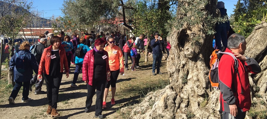 orgiva-prepara-la-vi-marcha-solidaria-caminando-contra-el-cancer