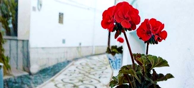 i-concurso-de-embellecimiento-de-fachadas-y-calles-de-la-herradura