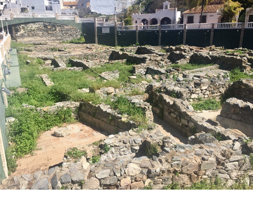 El PSOE critica el 'vergonzoso' estado en el que se encuentra El Majuelo