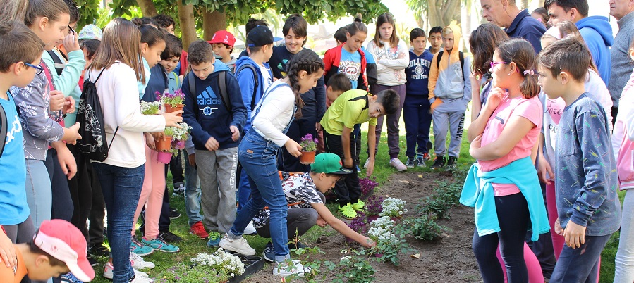 Flores en Las Explanadas dentro del programa ‘Los jardines son de todos_