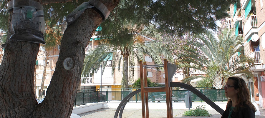 la-concejalia-de-parques-y-jardines-de-motril-realiza-un-plan-de-control-de-plagas-para-la-oruga-procesionaria