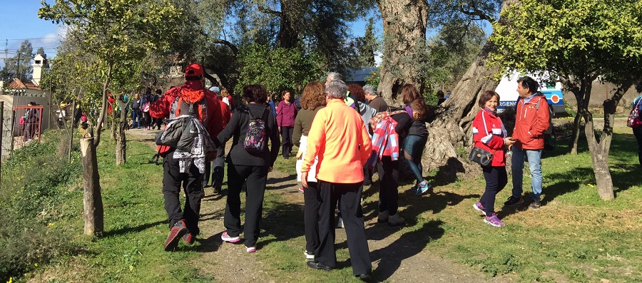 vi-marcha-solidaria-caminando-contra-el-cancer-mas-de-mil-personas-recorren-la-ruta-de-los-olivos-centenarios-de-orgiva