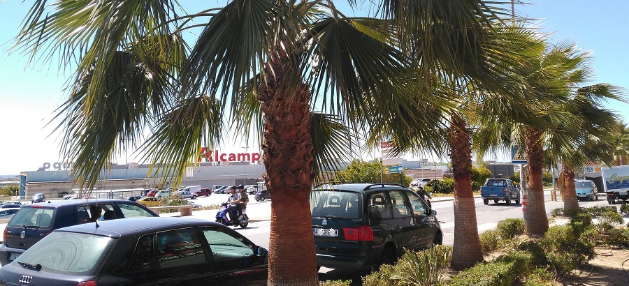 El Ayto. de Motril lleva a cabo un plantado especial de flores e intervenciones de cara a la Semana Santa