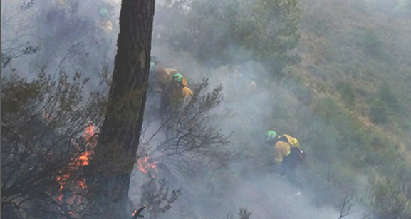 Nivel 1 del Plan Infoca por el incendio en el paraje Tajo de los Vados de Salobreña
