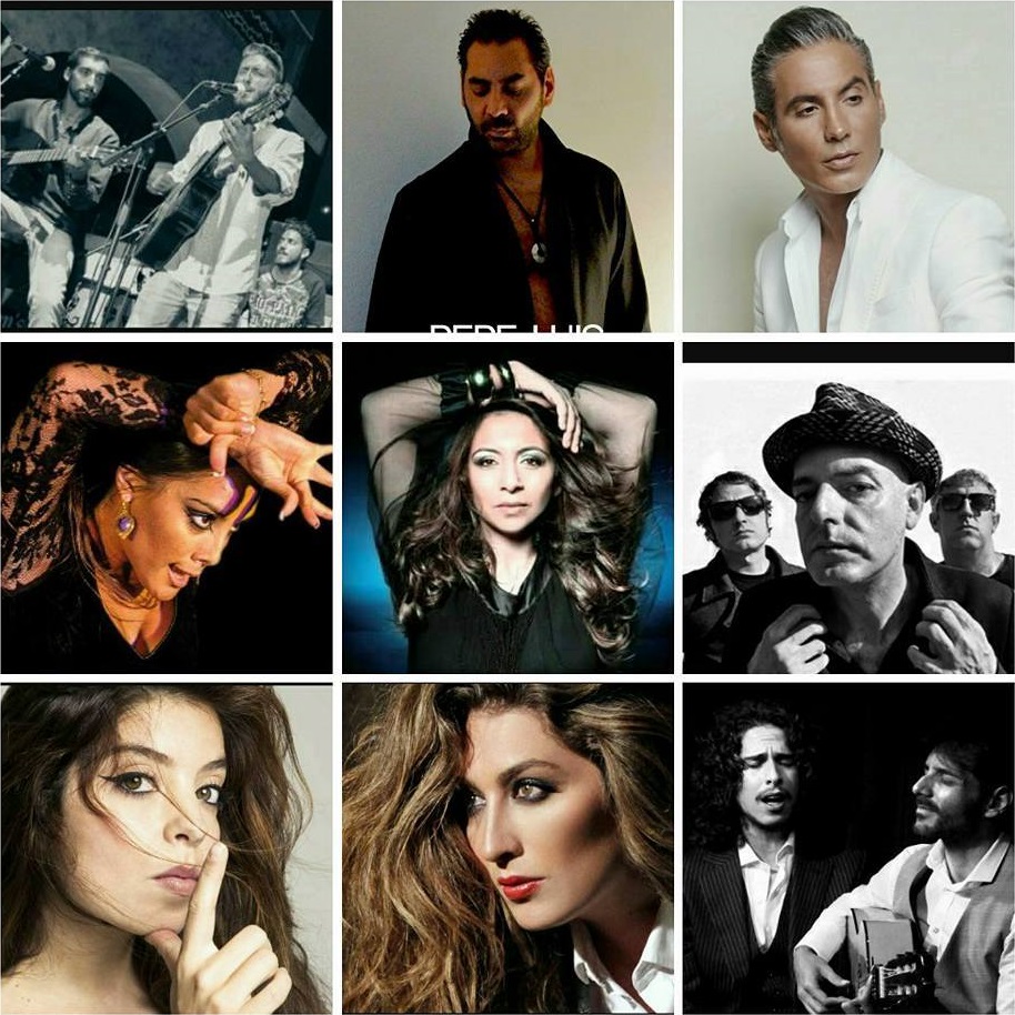 Concierto de grandes artistas flamencos por ACOMPALIA