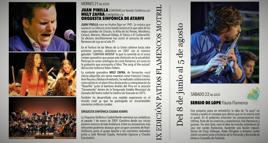 Patios Flamencos (2)