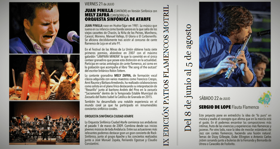 Patios Flamencos (2)