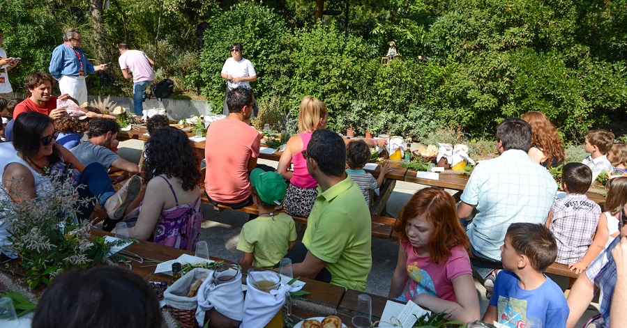 270 centros de Granada han promovido hábitos de vida saludable entre los escolares durante el curso 2016-17