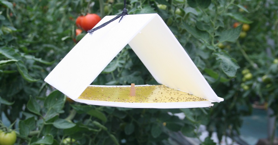 Agricultura abre el plazo de consulta pública previa para la elaboración del nuevo Decreto de Producción Integrada