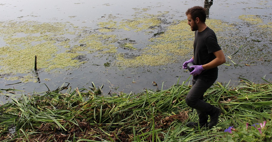 Investigadores de la UGR realizan un muestreo en las lagunas de la Charca de Suárez dentro del proyecto ‘METAS_