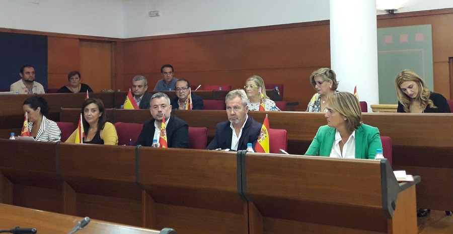 Apoyo unánime para que se retire normativa de Ayuda a Domicilio de la Junta de Andalucía