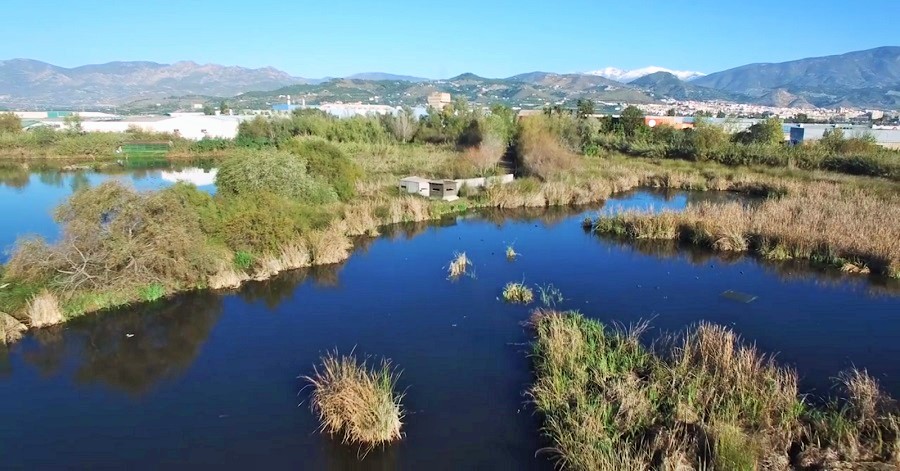 Charca de Suárez en Motril