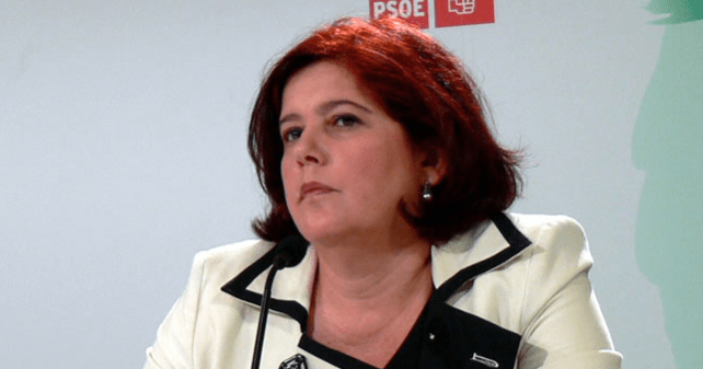 Elvira Ramón, diputada del PSOE por Granada en el Congreso de los Diputados