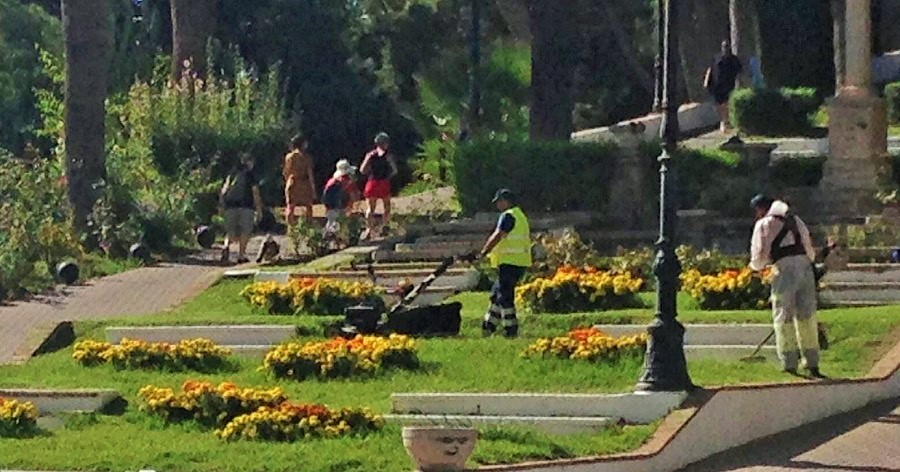 Parques y Jardines realiza trabajos de mejora en el barrio de Las Angustias (2)