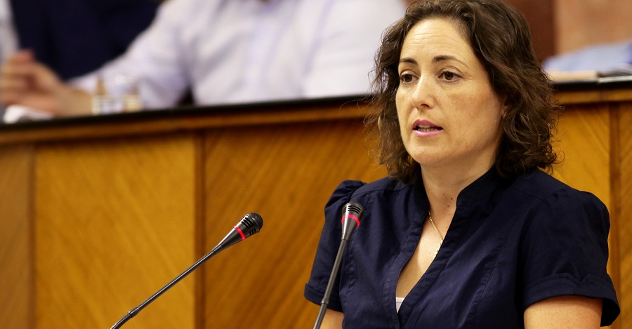 Mari Carmen Pérez, diputada Andaluza de Izquierda Unida