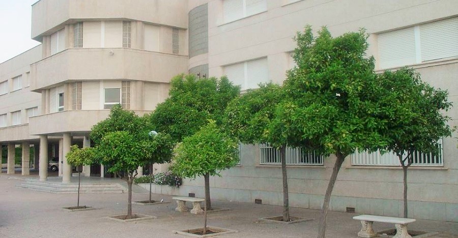 UNICEF reconoce al IES José Martín Recuerda como Centro Referente en Educación en Derechos de Infancia