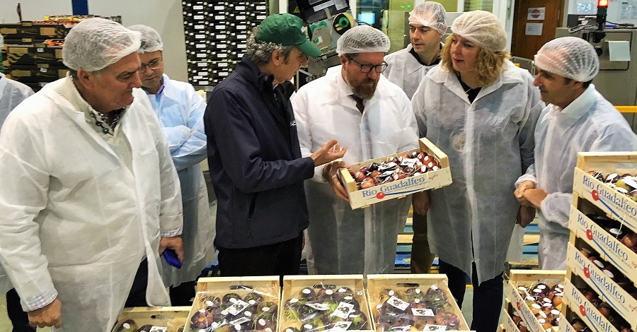 ‘Hortícola Guadalfeo_ obtiene de la Junta una importante subvención para mejorar su maquinaria y competitividad