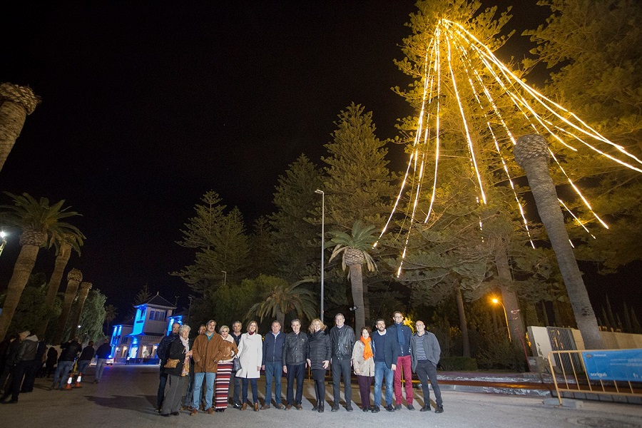 El árbol natural más alto de Europa ilumina la Navidad en el Puerto