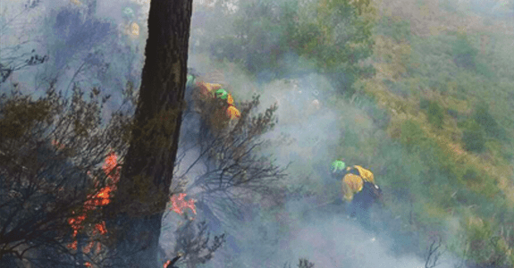 Incendio forestal