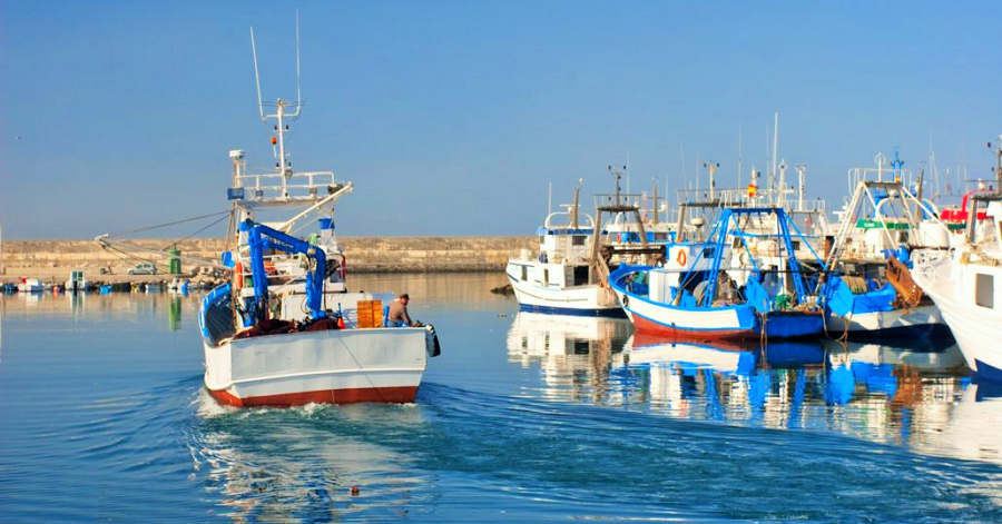 Siguen abiertas las convocatorias de subvenciones del Fondo Europeo Marítimo Pesquero hasta el 31 de enero