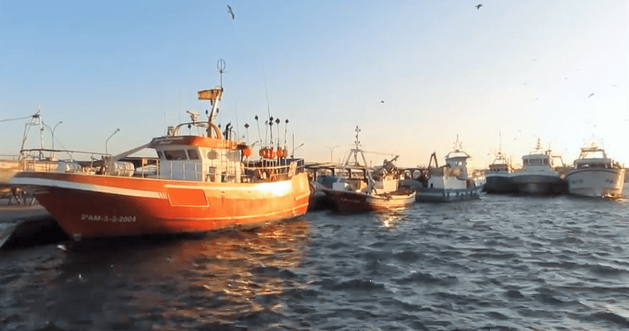 Dársena pesquera del Puerto de Motril_