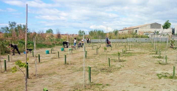 ‘El Bosque de la Vida’ de la Charcha de Suárez alcanza el millar de plantaciones.jpg