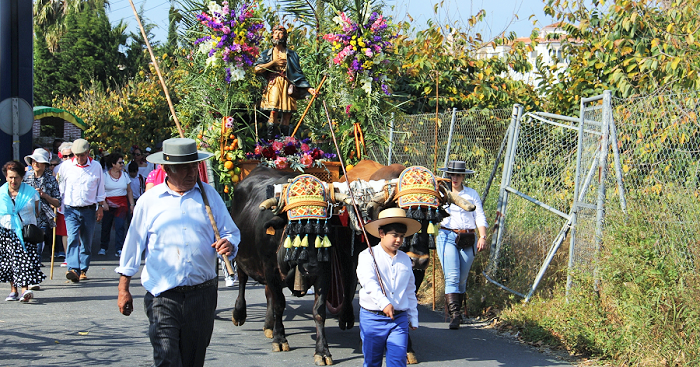 Centenares de romeros acompañaron a San Isidro hasta Torrecuevas