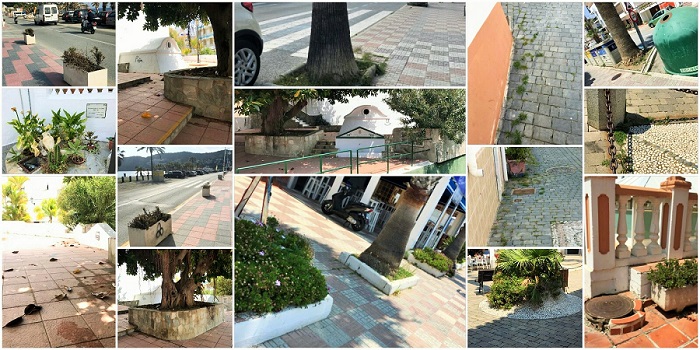 El PSOE pide más limpieza y cuidado en los espacios públicos de La Herradura