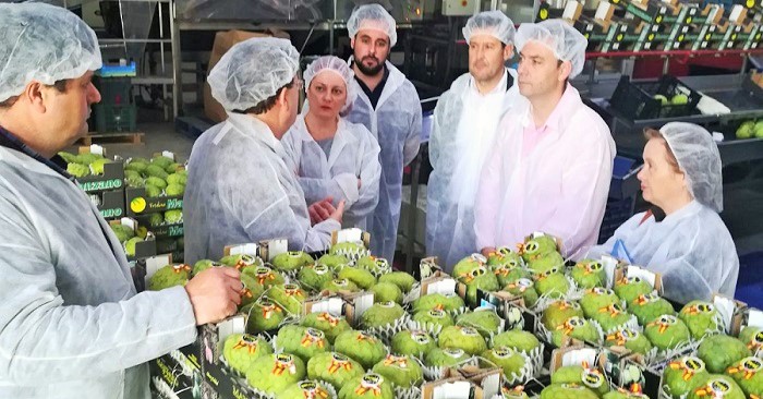 Incentivos de la Junta para modernizar instalaciones de las comercializadoras de frutas tropicales de la Costa Tropical