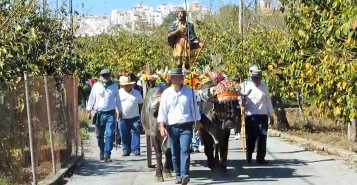 Romería de San Isidro de Almuñécar.png