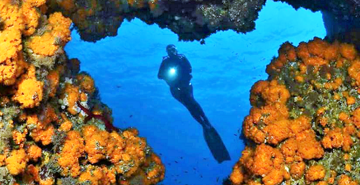 Rafael Fernández Caballero y Óscar Luna Romero ganan el I Open de Fotografía Submarina 'Bahía de La Herradura'.png