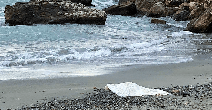 Aparece una persona muerta en la playa de La Herradura.png