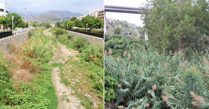 Cauces de los ríos Verde y Jate en el municipio de Almuñécar.jpg