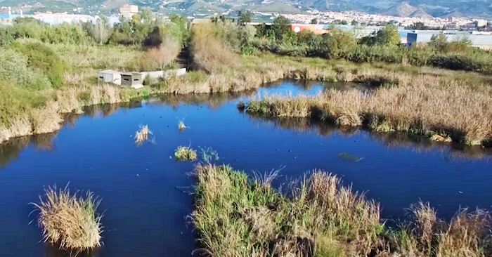 Charca de Suárez en Motril.png