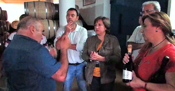 La delegada del Gobierno de la Junta visita la Bodega Calvente en Jete.png