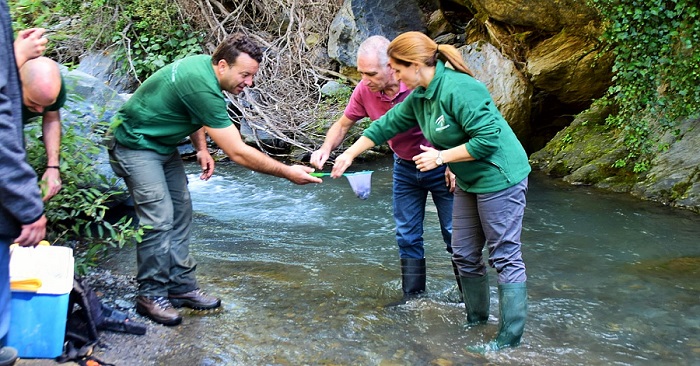 Medio Ambiente libera 2000 alevines de trucha común en el Río Poqueira.jpg