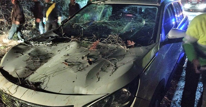 Cae un árbol sobre un vehículo cuando circulaba por la carretera de la Cabra en el municipio de Jete.jpg