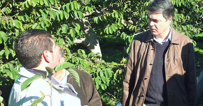 El PP reclama al Gobierno ayudas para los agricultores de la Costa Tropical tras los daños ocasionados por el temporal.png