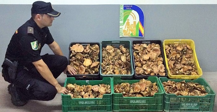 La Policía andaluza denuncia a 246 personas en Granada durante 2018 por infracciones medioambientales.jpg