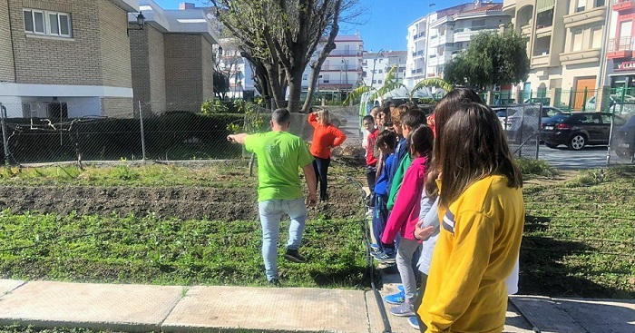 Sistema de riego por goteo para ahorrar hasta un 90% de agua en el huerto escolar del CEIP Mayor Zaragoza.jpg