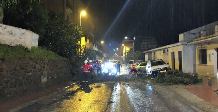 Un árbol caído obstruyó la carretera de la Cabra A-4050 en Torrecuevas