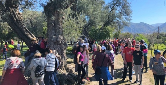 Órgiva acoge a un millar de personas en la VIII marcha solidaria Caminando contra el cáncer.jpg