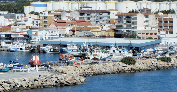 Dársena pesquera en el Puerto de Motril