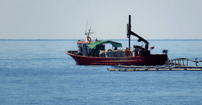 Acuicultura marina.png