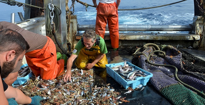 El sector pesquero del Mar de Alborán promueve 'Descartes0Alborán'.jpg